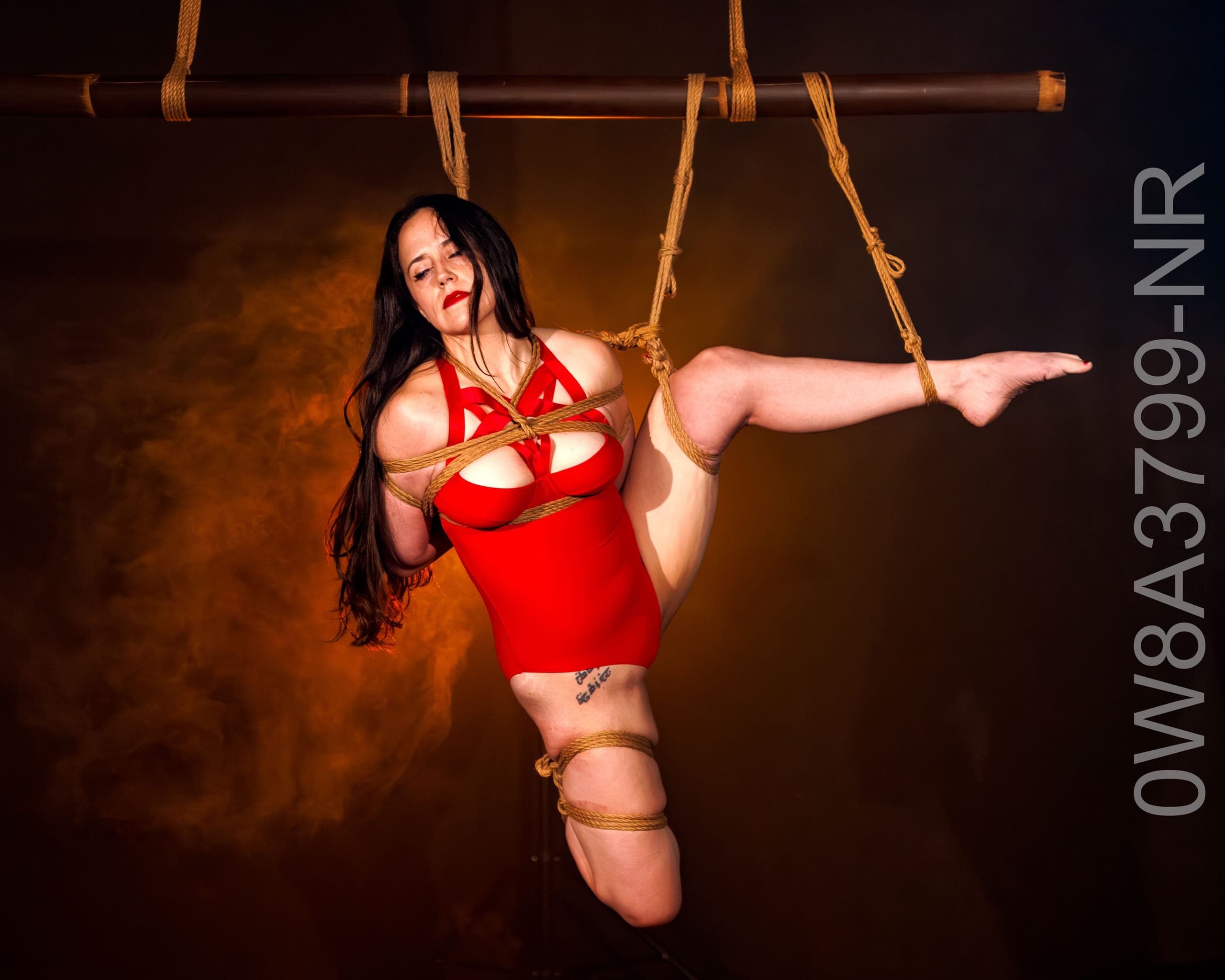 Bondage Cupcakes