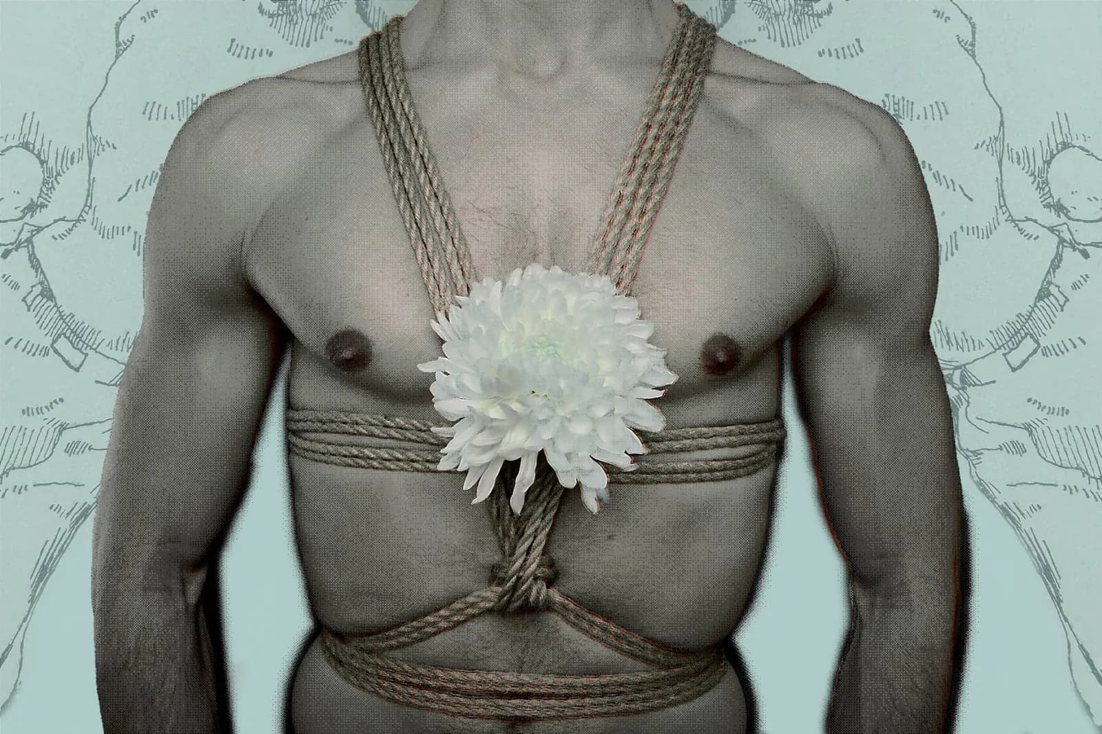 Someone's torso tied in shibari ropes with a flower over their heart area and green background.