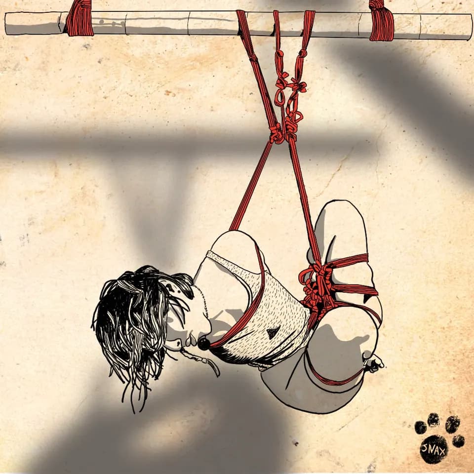 Illustrated detail showing rope suspension rigging setup.