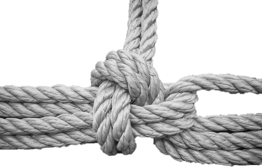 Get Roped In
