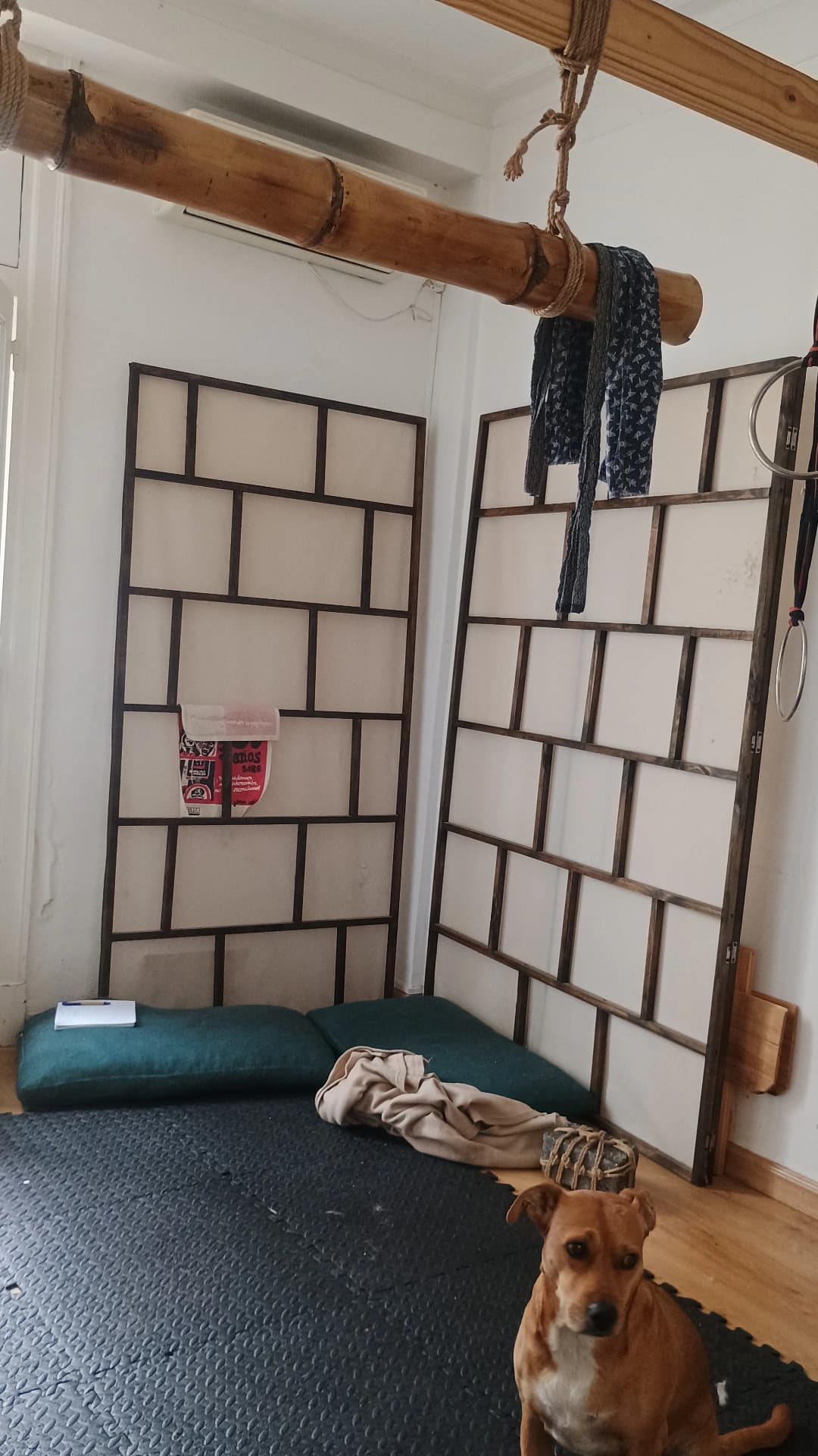 Club de Cuerdas Shibari Argentina