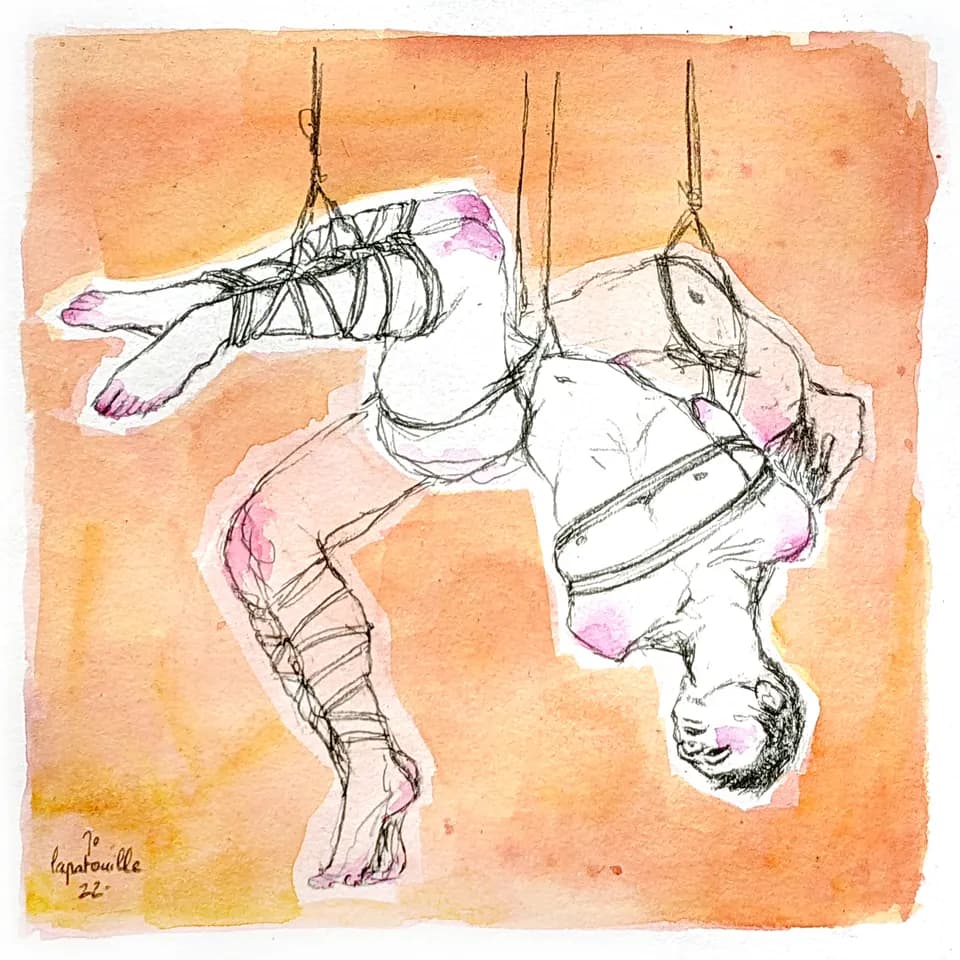 An illustration showing rope bondage suspension positions.