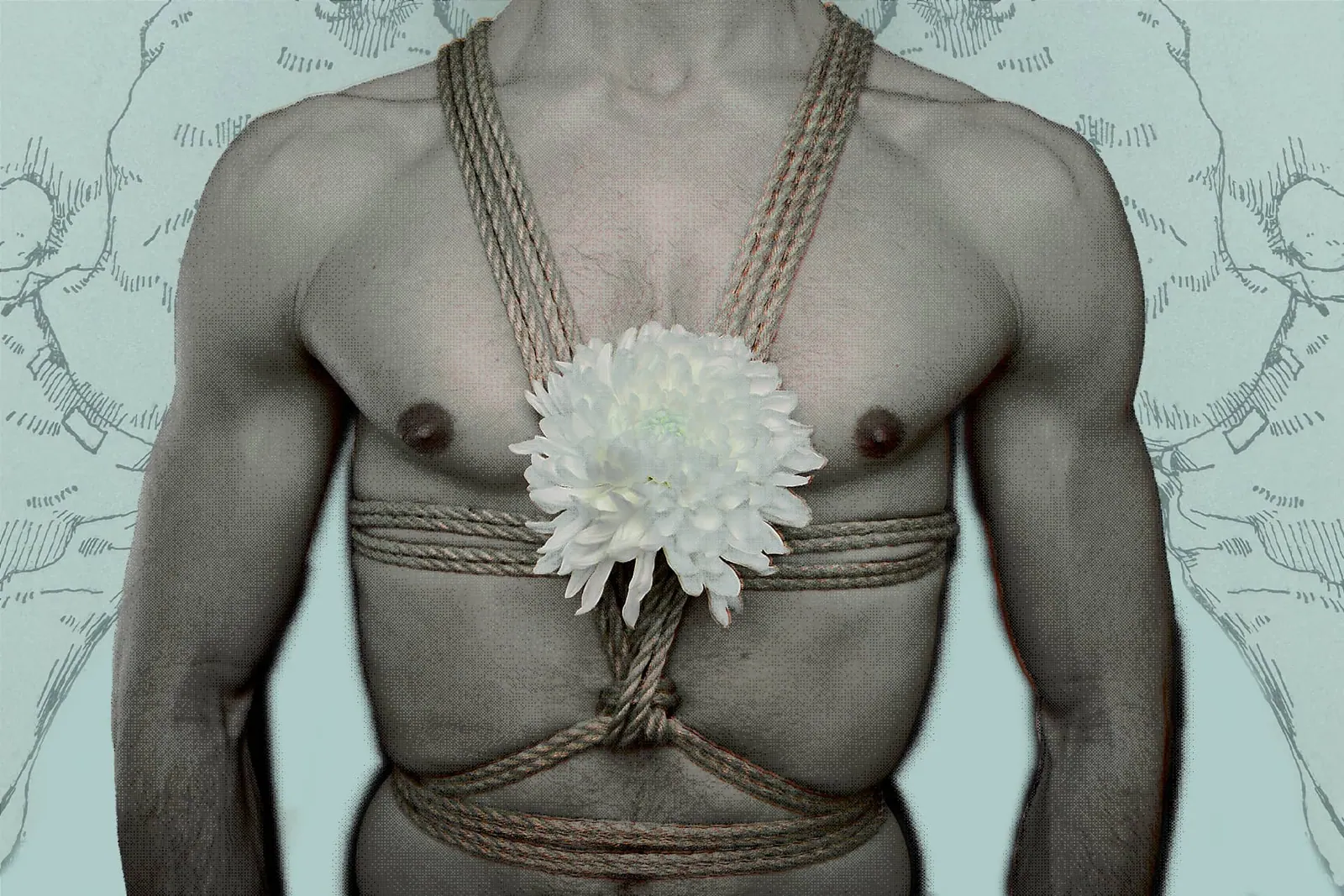 Someone's torso tied in shibari ropes with a flower over their heart area and green background.