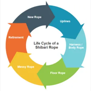 Circular diagram showing the life cycle stages of shibari rope.
