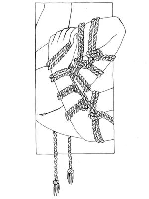 Line drawing of a person with a single-column rope tie on legs.